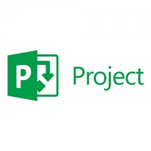 Microsoft Project Professional - Pemerintah